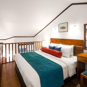 Chambre Quadruple Duplex